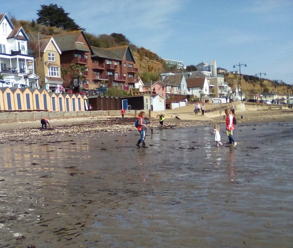 Shanklin Chine to SE Beach Cafe Shark Eggcase Survey Day 1 - 19th April 2022