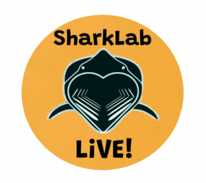 SharkLab LiVE! in black text on a gold circle background, with the outline of a cartoon Basking Shark with its mouth open wide swimming towards you. The large mouth is in the shape of a heart, outlined in marine blue