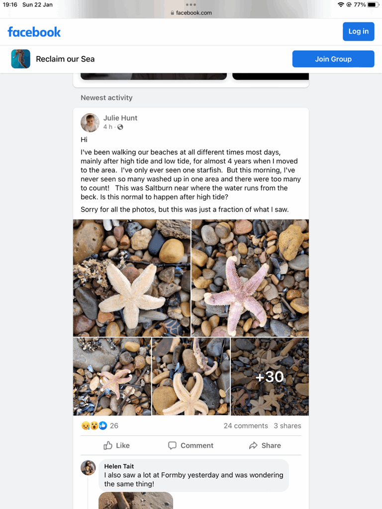 social media post with photos of dead starfish