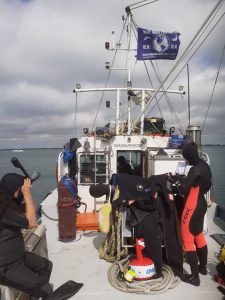 Divers on board the Coastal Protector, Blue Seas Protection's Dive Boat, kitting up with the Blue Seas Protection flag flying high in the wind, against grey cumulous clouds