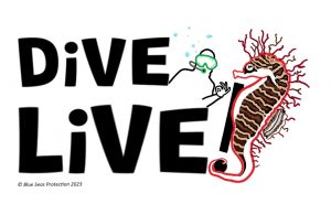 DiVE LiVE! Logo with a cartoon sketch of a small head and shoulders of a diver peeping out behind the lettering, DiVE LiVE! in the background and a large cartoon sketch of a beautiful Spiny Seahorse, with black, orange and white stripes and spiky mane, clinging on to the full stop of the exclamation mark with its tail curled around it!